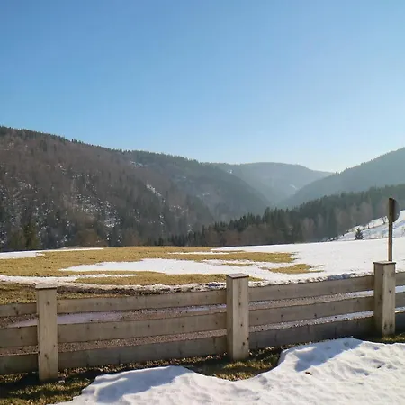 Four-bedroom Holiday In 度假居 Gehlberg